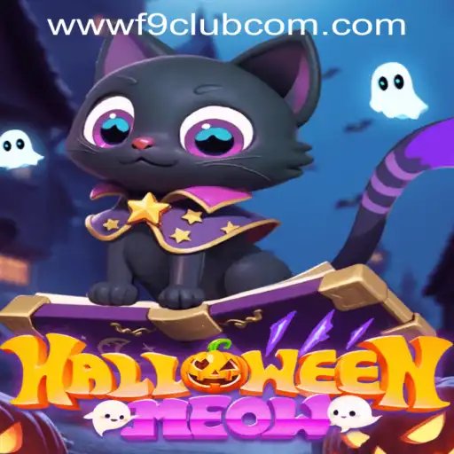 Dive into the Spooktacular World of HalloweenMeow